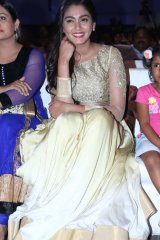 Dikkulu Choodaku Ramayya Movie Audio Launch